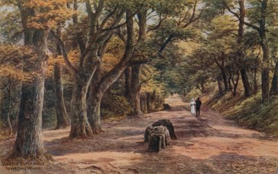 ويستون سوبر مير ، Kewstoke Woods بواسطة ألفريد روبرت كوينتون