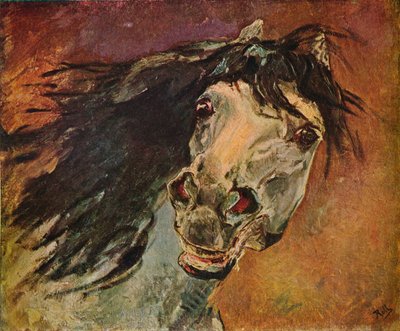 رأس الحصان الأندلسي ، c1910 بواسطة ألفريد رول