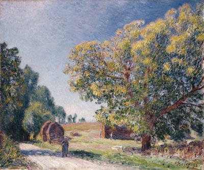 مقاصة في غابة ، 1895 بواسطة الفريد سيسلي