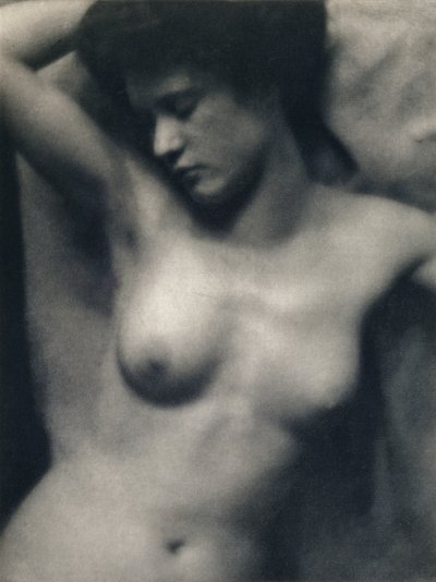 الجذع بواسطة ألفريد ووايت كلارنس ستيغليتز