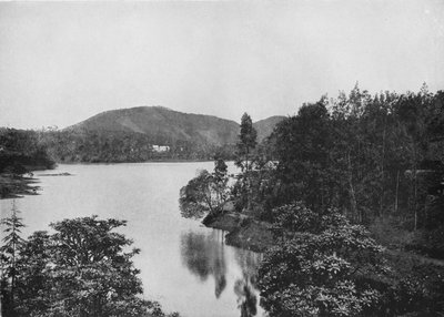 زاوية بحيرة نوارا إليا ، c1890 ، 1910 بواسطة لوحة ألفريد ويليام أماندوس