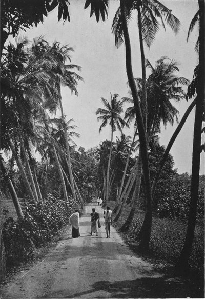 مسار عبر حقول بادي ، c1890 ، 1910 بواسطة لوحة ألفريد ويليام أماندوس