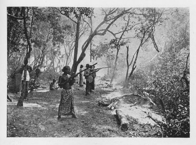 الفيل Kraaling في سيلان نحو Stockade ، c1890 ، 1910 بواسطة لوحة ألفريد ويليام أماندوس