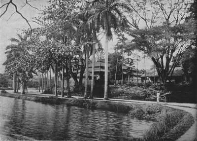 كاندي - ركن خلاب للبحيرة ، c1890 ، 1910 بواسطة لوحة ألفريد ويليام أماندوس
