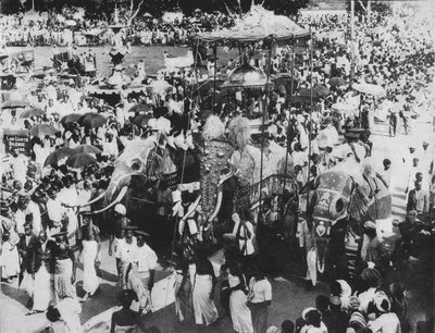 الفيل المقدس في موكب Perahera ، كاندي ، سيلان ، c1890 ، 1910 بواسطة لوحة ألفريد ويليام أماندوس