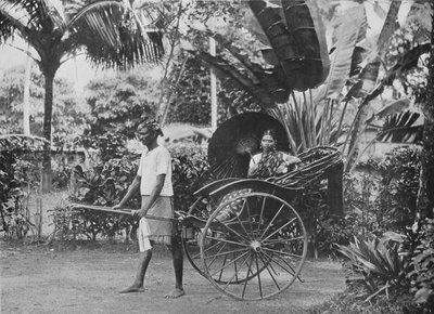سيدة التاميل في ريكشاو ، c1890 ، 1910 بواسطة لوحة ألفريد ويليام أماندوس