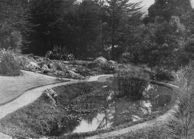 حديقة الصخرة ، حدائق حكلا ، نوارا إليا ، c1890 ، 1910 بواسطة لوحة ألفريد ويليام أماندوس