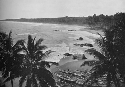 منظر من جبل لافينيا ، يُظهر نخيل جوز الهند على طول شاطئ البحر ، c1890 ، 1910 بواسطة لوحة ألفريد ويليام أماندوس