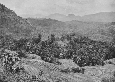 منظر لحقل بادي من ممر كادوجاناوا ، c1890 ، 1910 بواسطة لوحة ألفريد ويليام أماندوس
