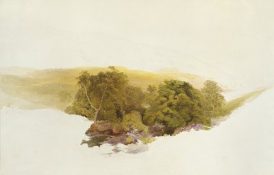 Martin&39;s Hill ، Dockwigg ، c.1862 (ألوان مائية فوق الجرافيت) بواسطة ألفريد ويليام هانت