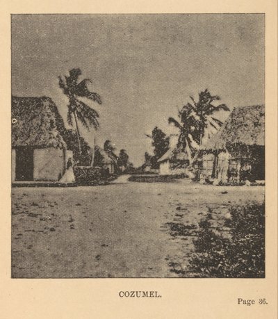 كوزوميل بواسطة أليس ديكسون لو بلونجون