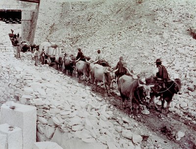 مشهد يُظهر كتل رخامية يتم نقلها من مقلع في كارارا. يتم سحب العربة بواسطة عشرة ثيران (صورة b / w) بواسطة فراتيلي اليناري