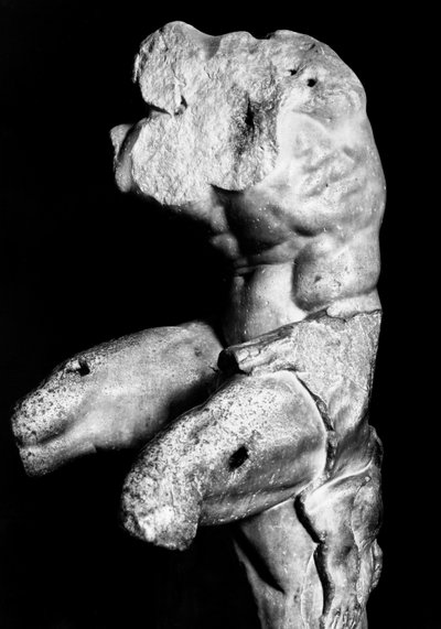 جذع بلفيدير بواسطة Apollonios of Nestor ، c1890 (b / w photo) بواسطة فراتيلي اليناري