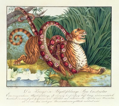 النمر والضيق بوا ، 1835 بواسطة الويس زوتل