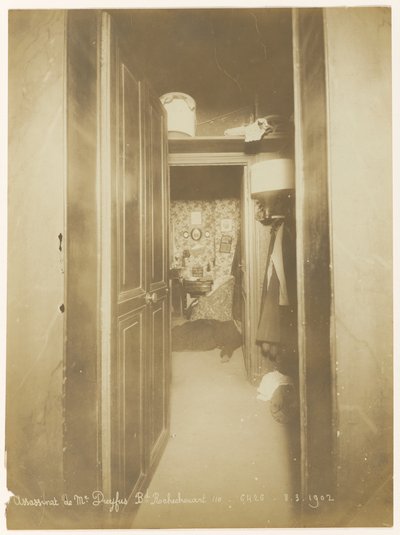 مقتل السيدة دريفوس بواسطة ألفونس بيرتيلون