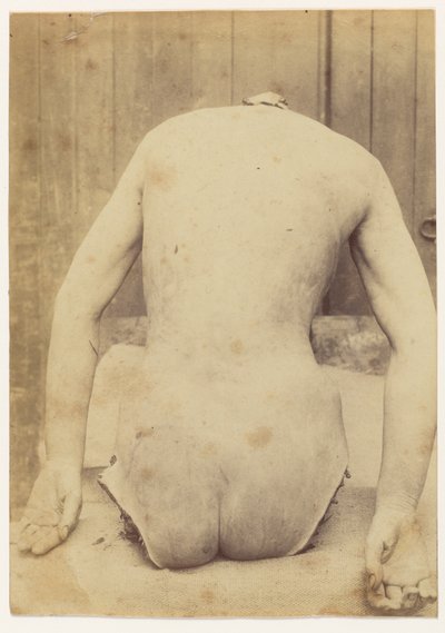 منظر خلفي للصندوق بواسطة ألفونس بيرتيلون