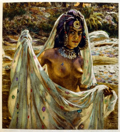 رسم توضيحي لـ"دينيه" من "السراب" مشاهد من الحياة العربية. 1906. رسوم إيتيان دينيه من كتاب "السراب، مشاهد من الحياة العربية" مع تعليق لسلمان بن إبراهيم بامر. وُلد نصر الدين دينيه باسم ألفونس-إتيان دينيه؛ (1861-1929) كان فرين بواسطة ألفونس إتيان دينيه