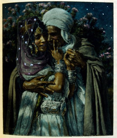 رسم توضيحي لـ"دينيه" من "السراب" مشاهد من الحياة العربية. 1906. رسوم إيتيان دينيه من كتاب "السراب، مشاهد من الحياة العربية" مع تعليق لسلمان بن إبراهيم بامر. وُلد نصر الدين دينيه باسم ألفونس-إتيان دينيه؛ (1861-1929) كان فرين بواسطة ألفونس إتيان دينيه