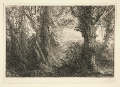 Dans la foret de Conteville (In the Forest of Conteville) بواسطة ألفونس ليجروس