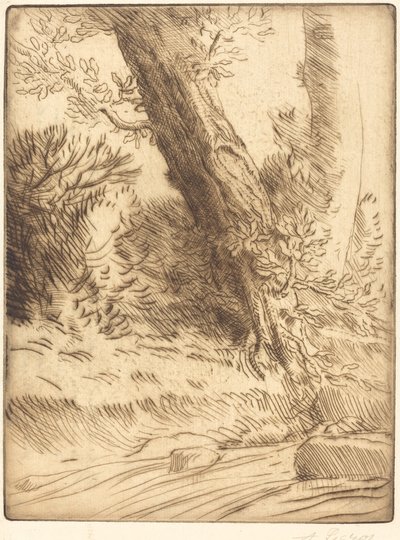 حافة بروك (بورد دي رويسو) بواسطة Alphonse Legros