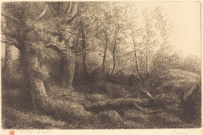 في غابة Lisiere de foret. بواسطة ألفونس ليجروس