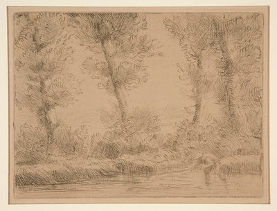 Les Bords de la Liane (The Banks of the Liane) بواسطة ألفونس ليجروس