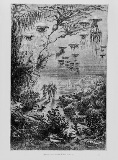 رسم توضيحي من "20000 فرسخ تحت البحر" لجول فيرن (1828-1905) منقوش بواسطة هنري ثيوفيل هيلديبراند (1824-97) c.1869-70 بواسطة ألفونس ماري دي نوفيل