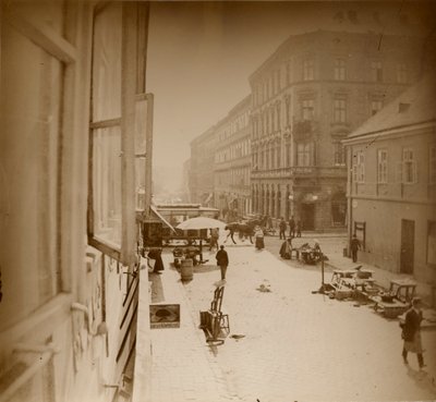 منظر من نافذة Window Muchas Apartment ، بالقرب من Amalienstrasse ، ميونيخ ، 1886 (طباعة الجيلاتين الفضية) بواسطة ألفونس موشا