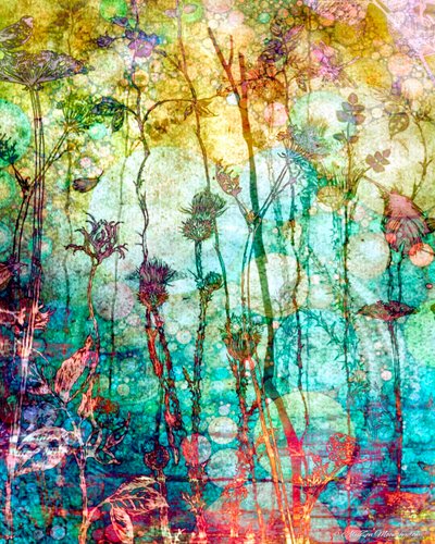 A Rich Tapestry (Warm)، 2014، (هاتف رقمي بوسائط مختلطة) بواسطة AlyZen Moonshadow