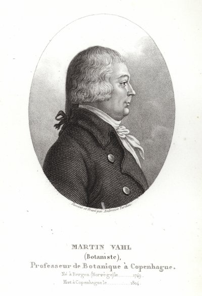 مارتن فال بواسطة أمبرواز تارديو