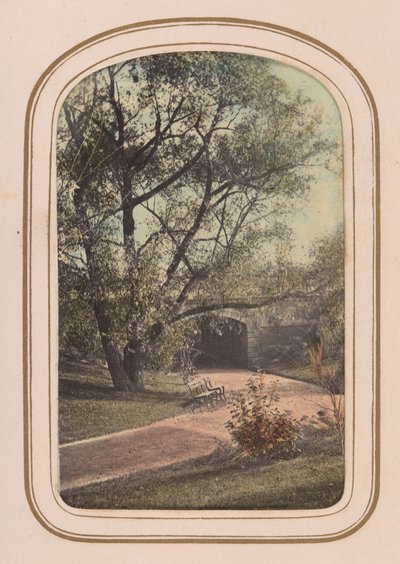 ألبوم Carte-de-visite الخاص بـ Central Park Views ، ستينيات القرن التاسع عشر. بواسطة أمبروز جاكسون