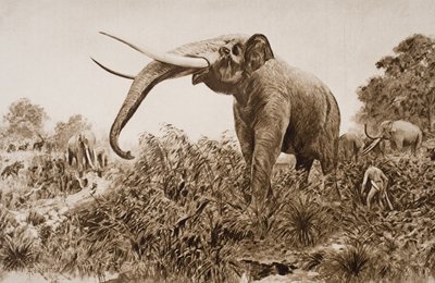 The Chatham Elephant ، رسم توضيحي من "مخطط التاريخ" بقلم HG Wells ، المجلد الأول ، نشر في 1920 (ليثو) بواسطة Amedee Forestier