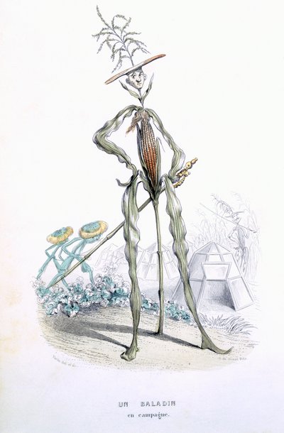 عربة البلد ، من "L&39;Empire des Legumes ، Memoires de Curcurbitus" بواسطة Eugene Nus and Meray Antoine ، 1851 (نقش الألوان) بواسطة أميدي فارين