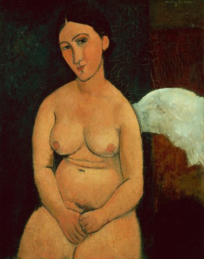 جالس عارية ، 1917 (زيت على قماش) بواسطة Amedeo Modigliani