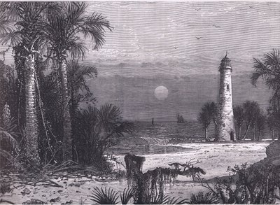 منظر لساحل فلوريدا ، رسم توضيحي من Cassells History of the United States نشره Cassell، Petter & Galpin، c1900 (litho) بواسطة مدرسة اللغة الإنجليزية الأمريكية