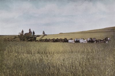 Oregon: Threshing in Eastern Oregon (photo) بواسطة المصور الأمريكي (بعد)