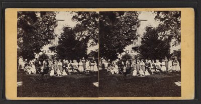 الأطفال والملعب ، مجتمع أونيدا ، ولاية نيويورك ، حوالي 1870 (صورة بالأبيض والأسود) بواسطة مصور أمريكي