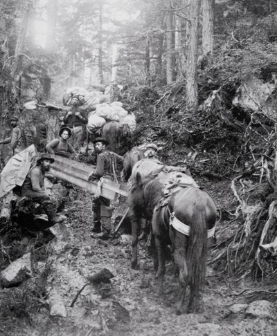 Climbing the Dyea Trail on the way to the Chilkoot Pass during the Klondike Gold Rush (1897-98) (b/w photo) بواسطة مصور أمريكي
