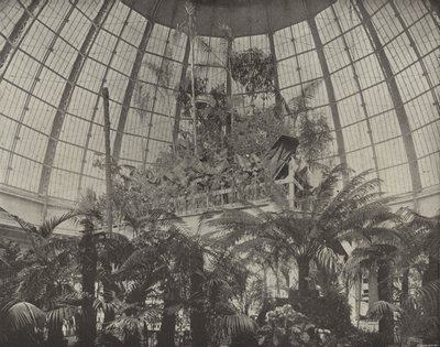 داخل القبة البستانية بواسطة مصور أمريكي