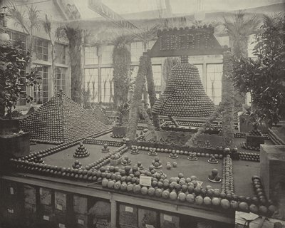 جرس الحرية في البرتقال بواسطة مصور أمريكي