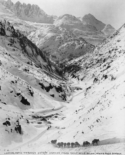 Looking down through Cutoff Canyon from half mile below White Pass Summit, during the klondike Gold Rush (1817-98) 1898 (b/w photo) بواسطة مصور أمريكي