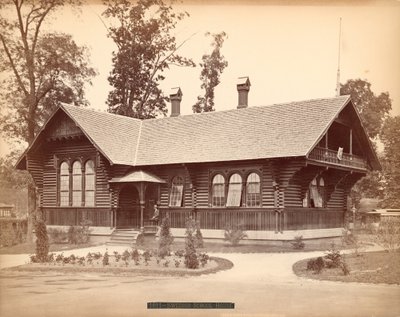 بيت المدرسة السويدية ، معرض المئوية ، فيلادلفيا ، 1876 (طبعة زينية فضية) بواسطة مصور أمريكي