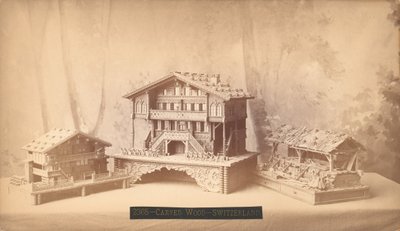 أكواخ سويسرية ، نماذج منحوتة ، معرض فيلادلفيا الدولي المئوية ، 1876 (طبعة زينية فضية) بواسطة مصور أمريكي