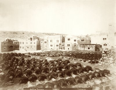 مدبغة في الخليل مع وجود جلود في المقدمة ، 1898-1911 بواسطة مصور أمريكي