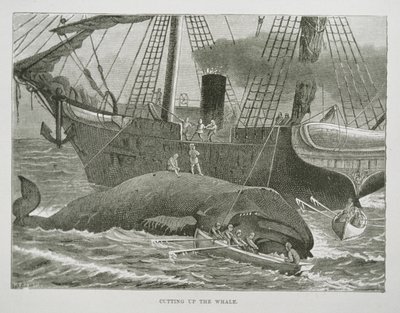 Cutting up the Whale, from The American Whale Fishery, c.1850 (engraving) بواسطة المدرسة الأمريكية