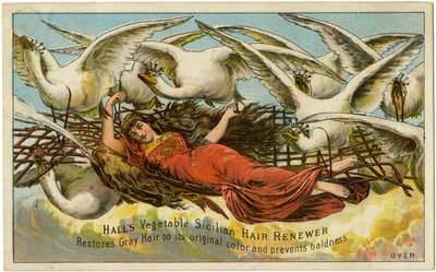 Halls Vegetable Sicilian تجديد الشعر ، يعيد الشعر الرمادي إلى لونه الأصلي ويمنع الصلع ، Recto (لون ليثو [بطاقة تجارية]) بواسطة المدرسة الأمريكية