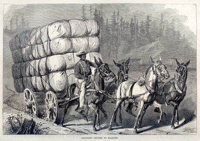 نقل القطن إلى السوق ، من مائة عام من التقدم في الولايات المتحدة ، حانة. 1871 إنجرافين بواسطة المدرسة الأمريكية