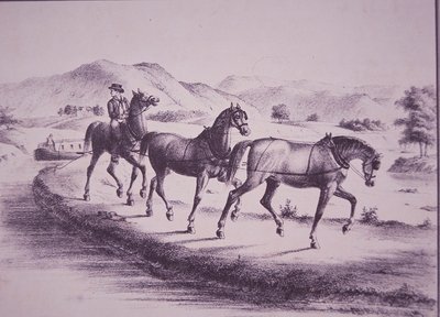 Horses pulling a canal boat on Erie Canal (engraving) بواسطة المدرسة الأمريكية