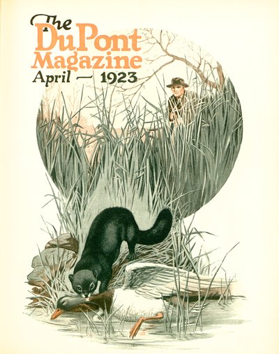 Less Vermin - More Game ، الغلاف الأمامي لمجلة DuPont ، أبريل 1923 بواسطة المدرسة الأمريكية