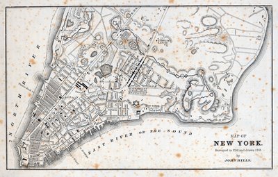 Map of New York (litho) بواسطة المدرسة الأمريكية